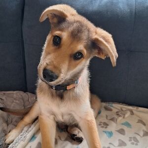 Meet your Posher, Colleen